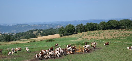 Ferme De Raffin (GAEC De La Route Panoramique), Fabricant de Fromages à Tournon-sur-Rhône