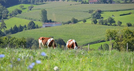 GAEC Du Ptit Foin, Fabricant de Fromages à Virigneux