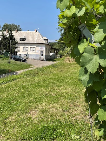 Siffert Frech Affineur, Fromagerie à Rosheim