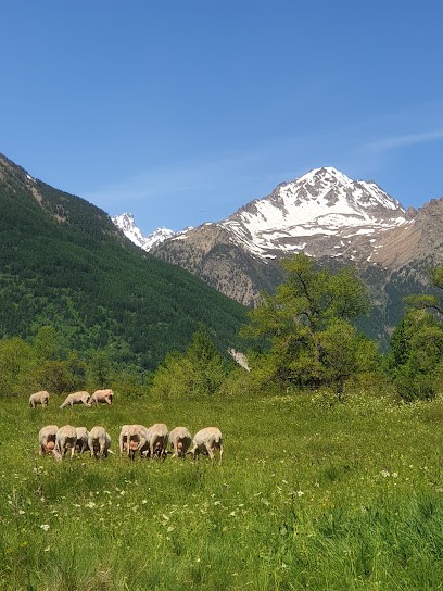 La Bergerie Des Guibertes, Fabricant de Fromages au Monêtier-les-Bains