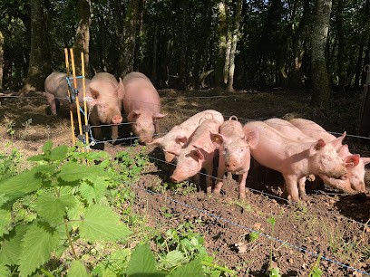 Les Biquettes De Cercles, Fabricant de Fromages à La Tour-Blanche-Cercles