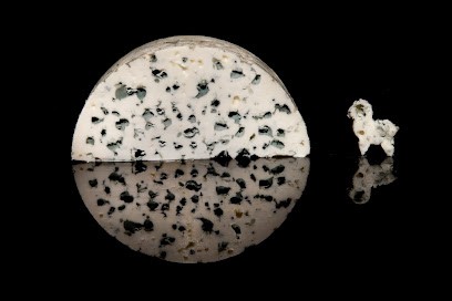 Vernières Frères, Fromagerie à Villefranche-de-Panat