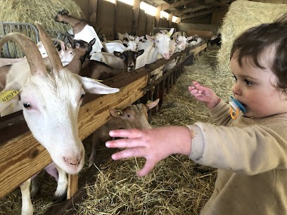 Chevrelogne, Fabricant de Fromages à La Ferté-Saint-Aubin