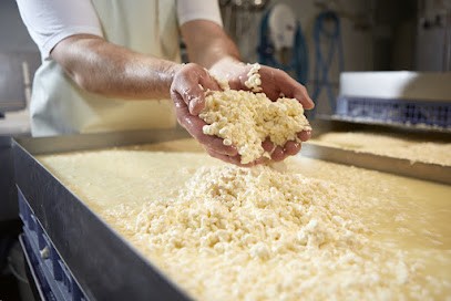 Laiterie De La Côte Roannaise, Fabricant de Fromages à Saint-Haon-le-Châtel