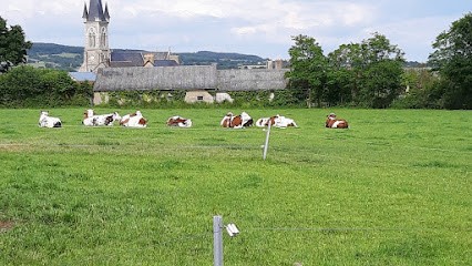 Demoitié Vincent - Ferme fromagère, Fromagerie à Pré-en-Pail-Saint-Samson