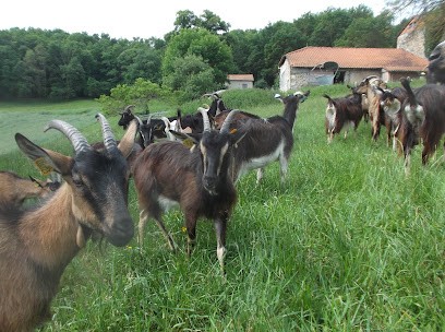 La Chevre Coquine, Fabricant de Fromages à Douchapt