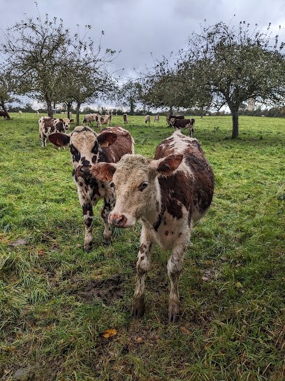 Earl Spruytte, Fabricant de Fromages à Saint-Philbert-des-Champs