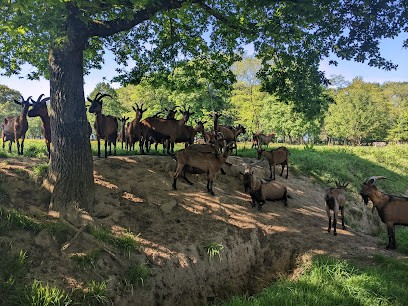 Chèvrerie de la Vieux Ville, Fromagerie à Merdrignac
