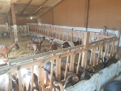 Le Petit Tourtouil - Fromagerie, Fromagerie à Simiane-la-Rotonde
