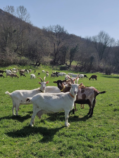 Chèvrerie Du Bugey, Fabricant De Fromage à Peyrieu