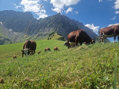 GAEC DES PAYS DE SAVOIE La Giettaz, Fabricant de Fromages à La Giettaz