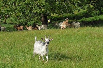 La Ferme D'Antoinette, Fromagerie à Sivignon