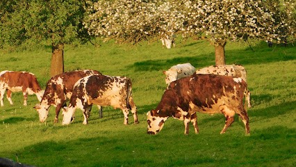 Fromagerie Villiers Nicolas - Producteur Neufchâtel AOP, Fabricant de Fromages à Beaussault