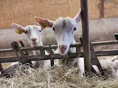 EARL ROUSSET, Fromagerie à Colombier-le-Vieux