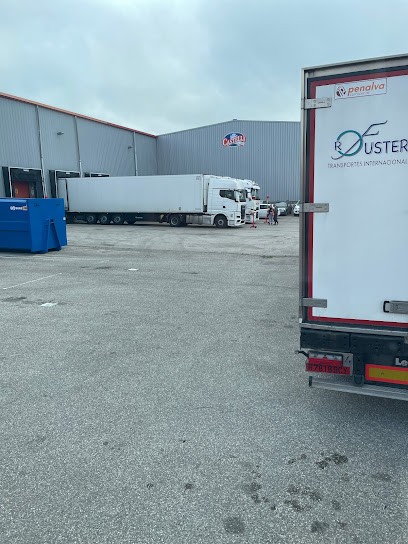 CASTELLI FRANCE, Fabricant de Fromages à Beynost