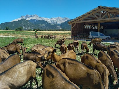 La Ferme de Meyssirat, Fromagerie à Veynes