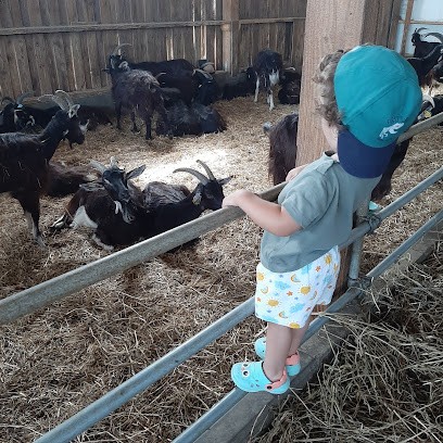 la ferme de liberneuil, Fromagerie à Taillebourg
