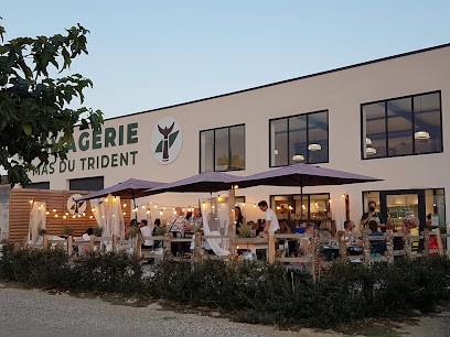 Le Mas Du Trident, Fromagerie à Vauvert