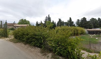 La Ferme Du Moutail, Fromagerie à Sarrians