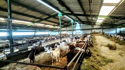 Le Guigne Chèvre, Fromagerie à Vérines