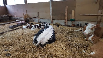 Ferme Aux Pampilles - Elise et Jérôme, Fabricant de Fromages à Masevaux-Niederbruck