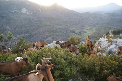 Fromagerie des Embialades, Fromagerie à Soulatgé