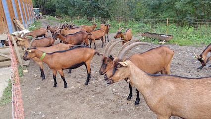 Les Cabris Du Larboust, Fabricant De Fromage à Cazeaux-de-Larboust