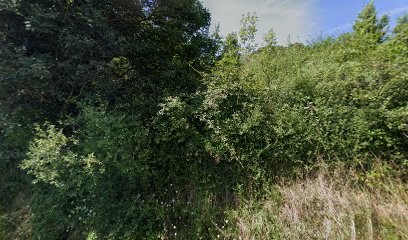 chevrerie de la madeleine, Fabricant de Fromages à Retournac