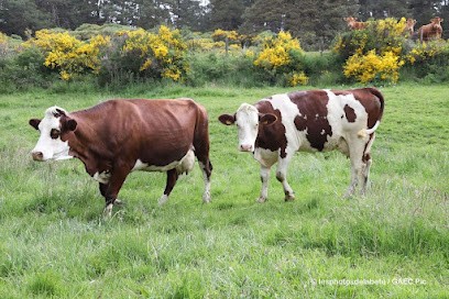 Fromagerie GAEC Pic, Fromagerie à Estables