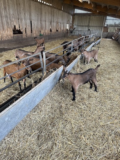 Les Bignolets • Vente De Fromage De Chèvre, Fromagerie à Vallières-les-Grandes