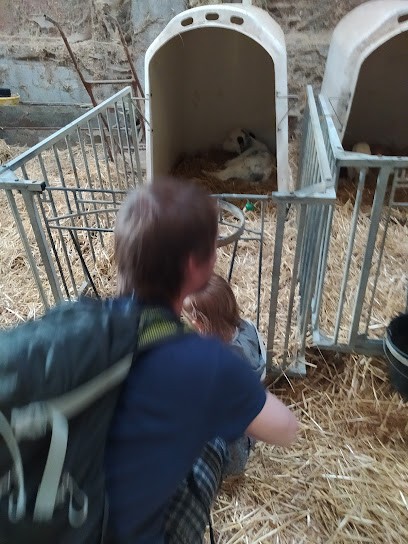 Earl Du Roetling, Fromagerie à Traubach-le-Bas