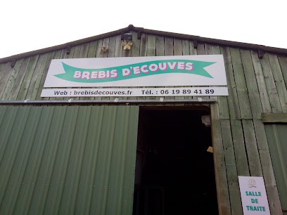 La Brebis D'écouves, Fromagerie à Saint-Nicolas-des-Bois