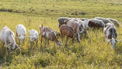LA CHEVRERIE DU TARTARIN, Fabricant de Fromages à Grenoble
