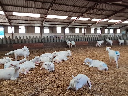 Les Charonnes • Bordas-Moreau EARL • Fromage De Chèvre, Fabricant de Fromages à Monthou-sur-Bièvre