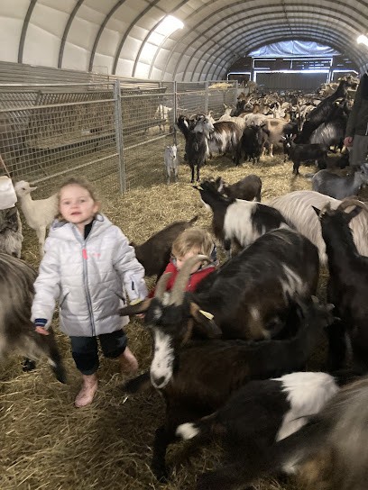 Fromagerie U Granatu, Fabricant de Fromages à Tavera