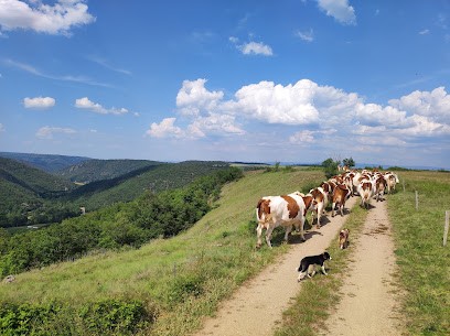 GAEC La Clef Des Champs, Fabricant de Fromages à Blesle