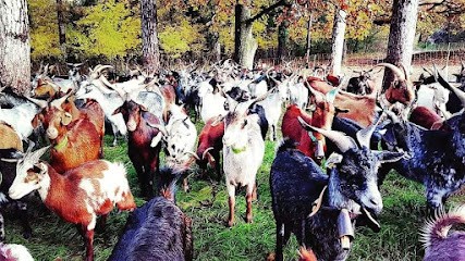La Fromagerie Du Verdon, Fromagerie à Vinon-sur-Verdon