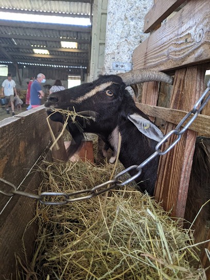 La Chèvre Rit - Ferme Et Jardin Pédagogique / Fromage, Fabricant de Fromages à Granville