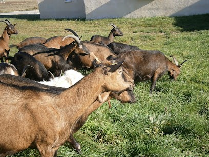 Fromagerie Du Peyroulas Argenson Sébastien, Fabricant de Fromages à Bessas