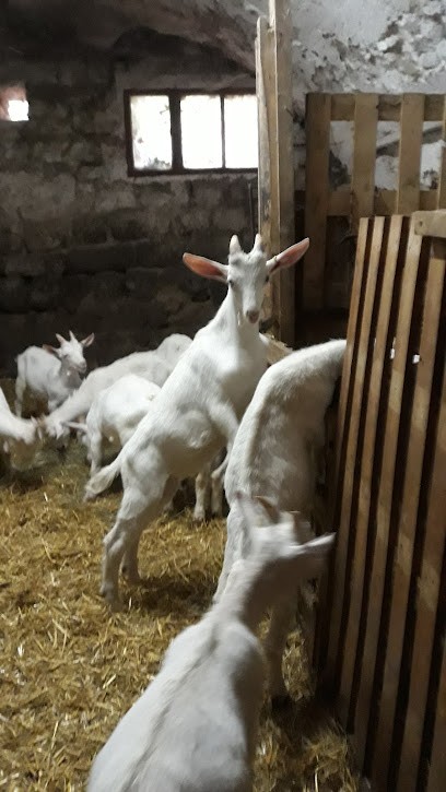 Fromagerie Le Piqueberle, Fromagerie à Sanilhac
