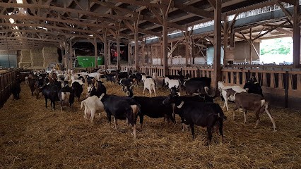 La Ferme Du Bois Rond, Fromagerie à Pussigny