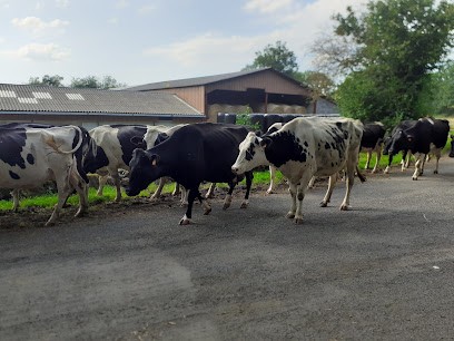 Gaec Dussap, Fabricant de Fromages à Ceyssat