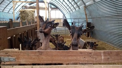 Les Biquettes De Valaises, Fabricant de Fromages à Villeneuve-de-Marc