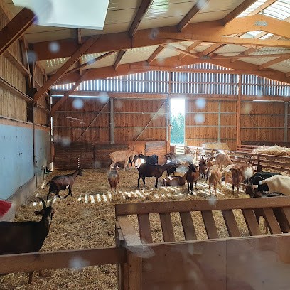 Gaec La Tailles Des Champs, Fromagerie à Montrieux-en-Sologne