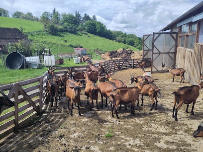 Les Cabrioles De Balajou - Produits à Base De Lait De Chèvre - Vente à La Ferme, Fabricant de Fromages à Figeac