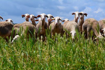 ABCA Fromagerie, Fromagerie à Verrières