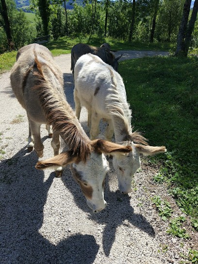 Fruitière De Montmahoux, Fromagerie à Montmahoux
