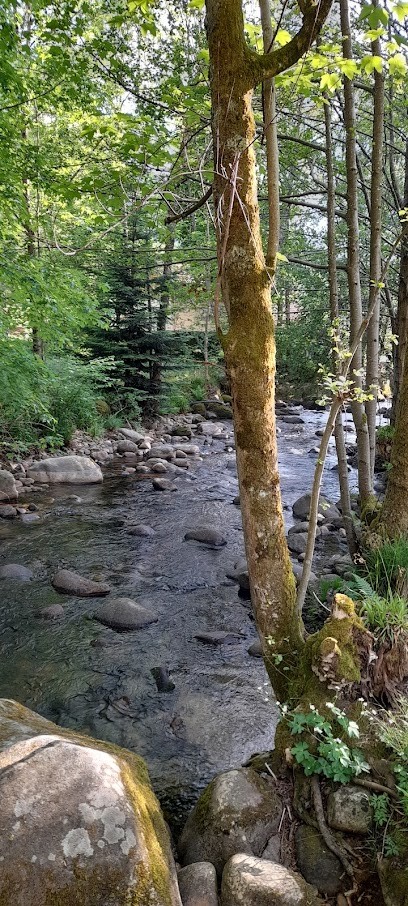 Fromagerie De L'Ermitage, Fromagerie à Rochesson