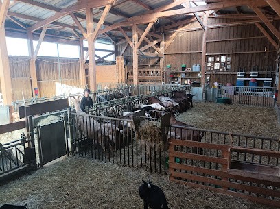 La Ferme Du Mont Serein, Fabricant de Fromages à Mont-Saint-Jean