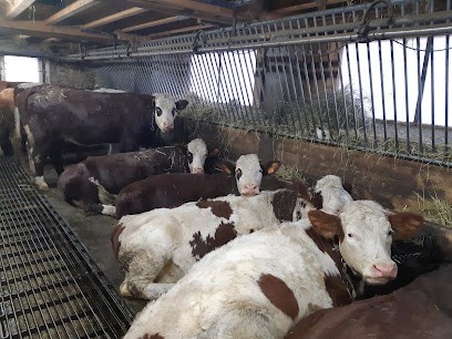 GAEC La Ferme Des Pezières, Fabricant de Fromages au Bouchet-Mont-Charvin